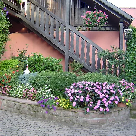 Weyer Numero 2 Apartament Bergheim