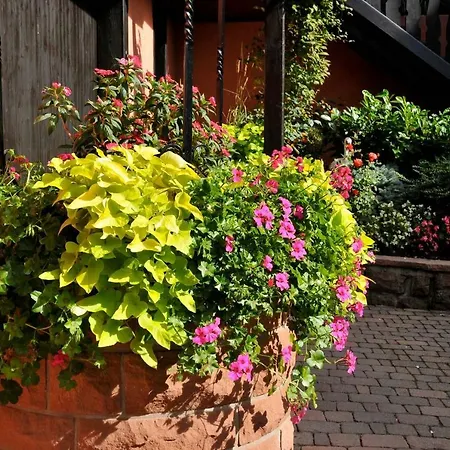 Weyer Numero 2 * Bergheim